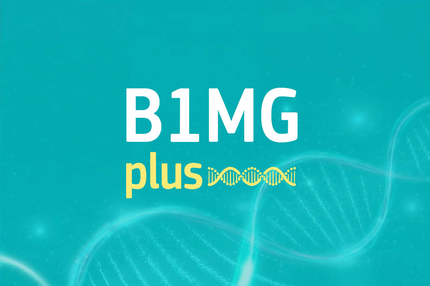 B1MG plus - Logo