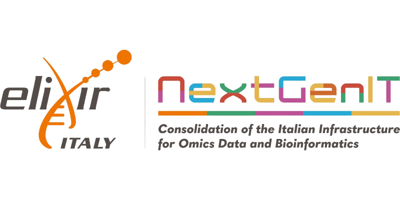 NextGenIT - Logo