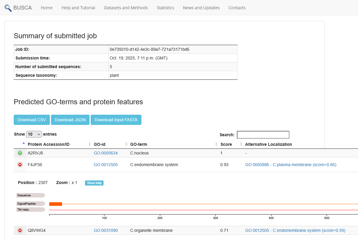 BUSCA - User interface