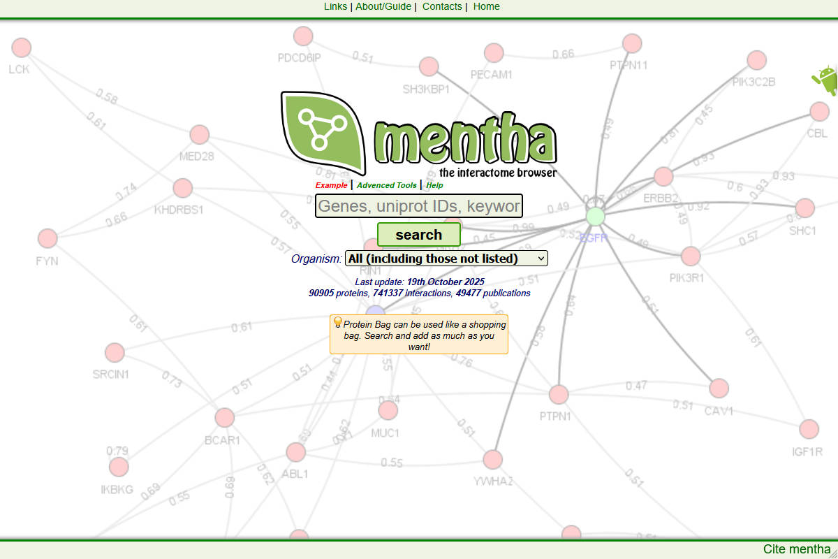 Mentha - User interface