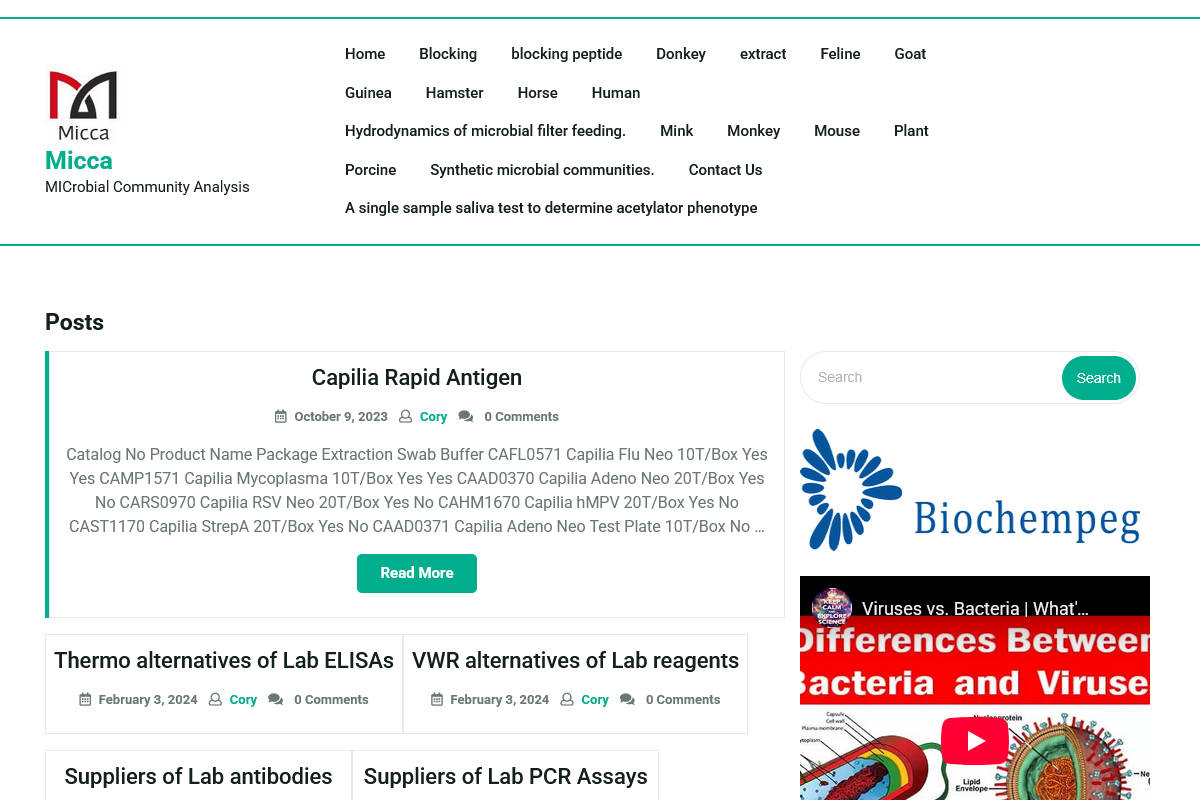 Micca - User interface