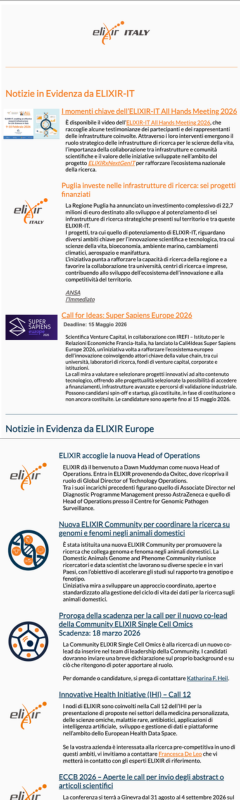 Screenshot of the newsletter issue