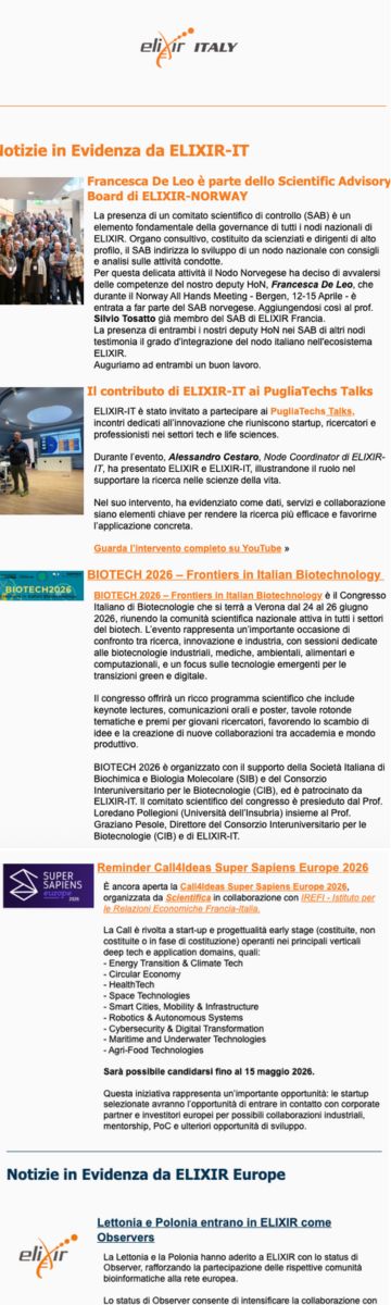 Screenshot of the newsletter issue