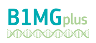 B1MG plus Logo